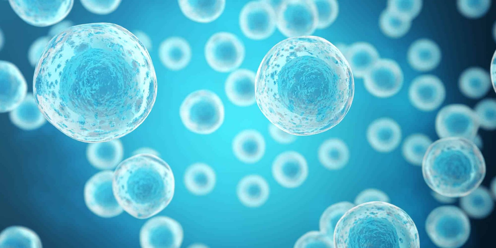 banner maturacao in vitro de ovulos